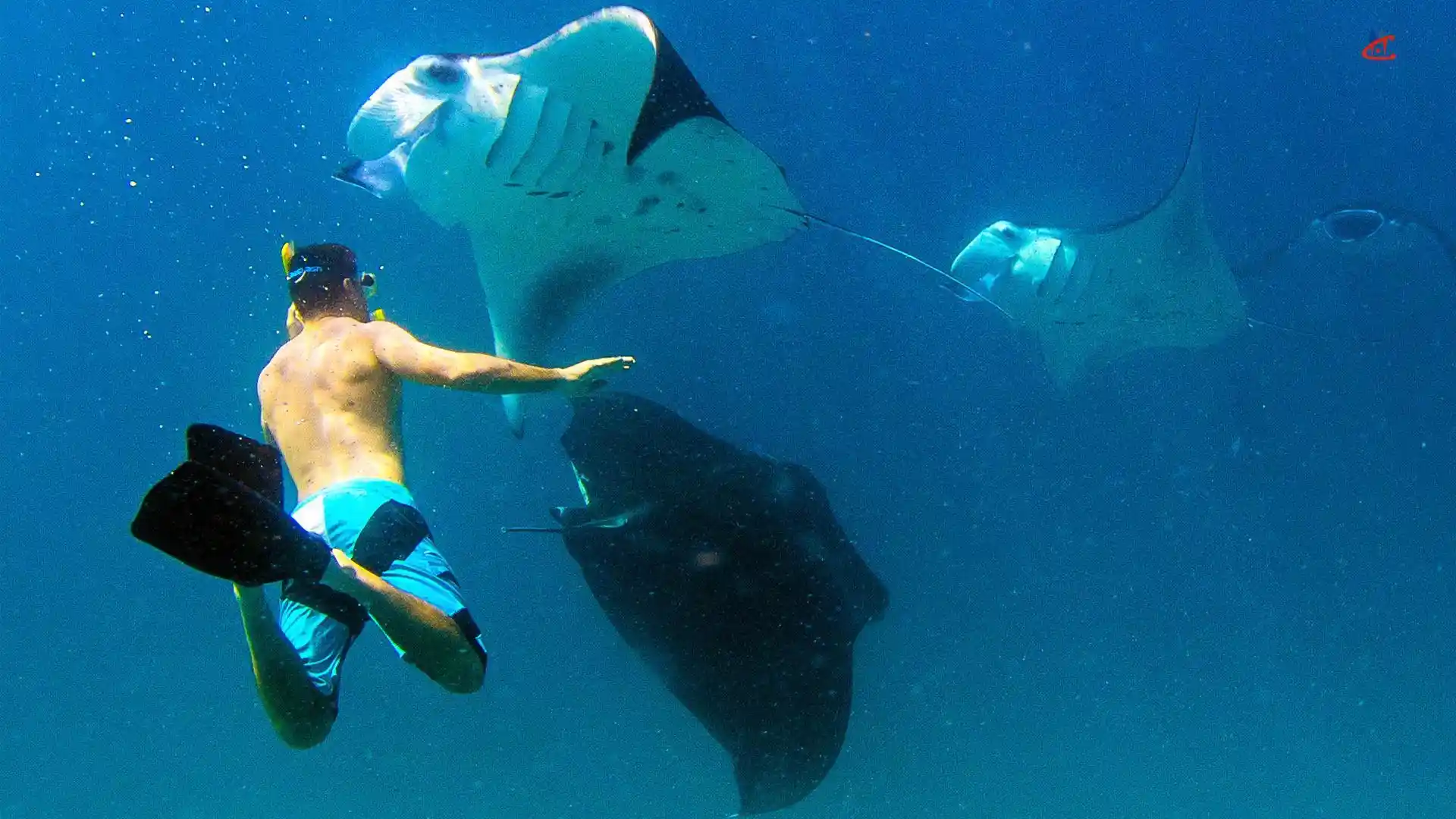 activities to do in maldives
