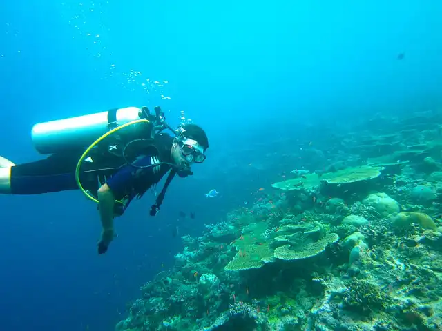 Discover the Marine Life at a Research Center