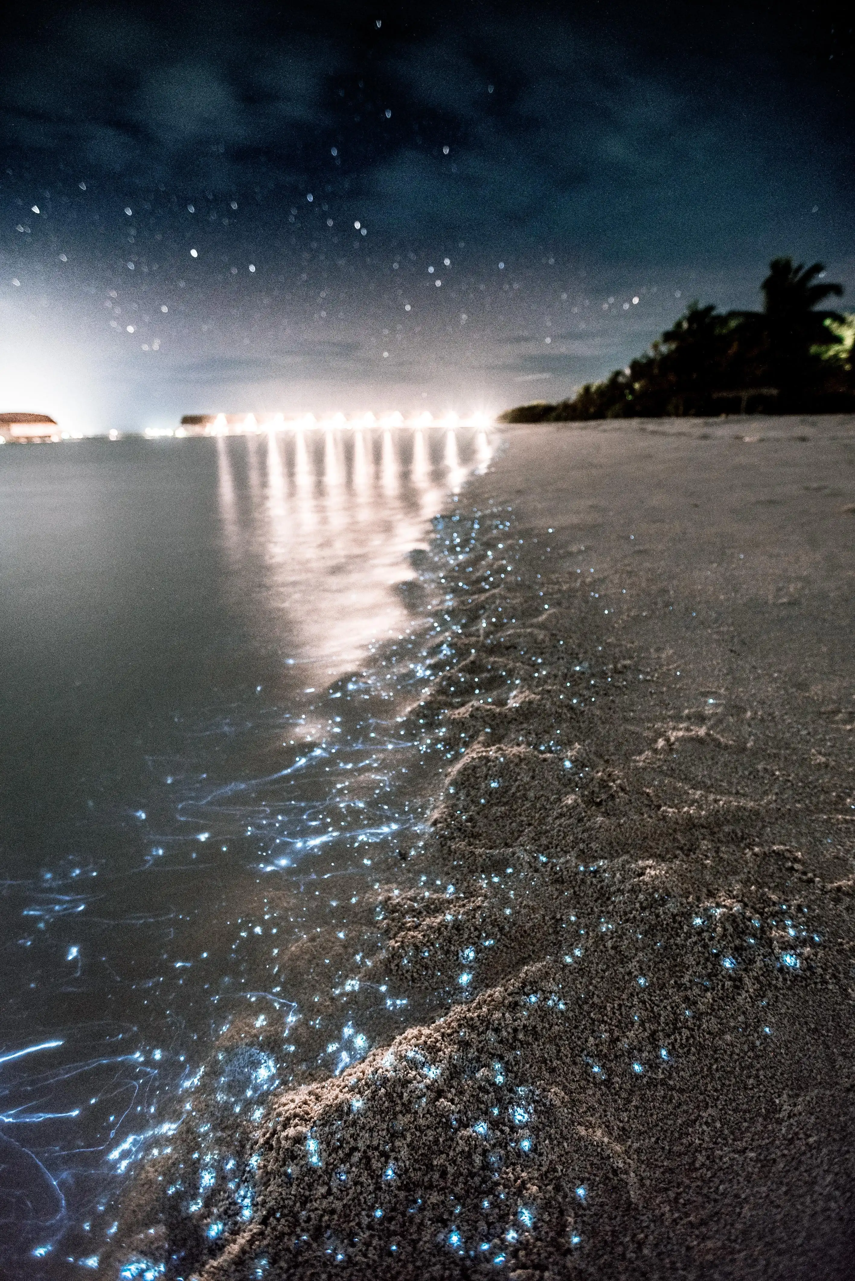 Visit Vaadhoo Island for Bioluminescent Plankton