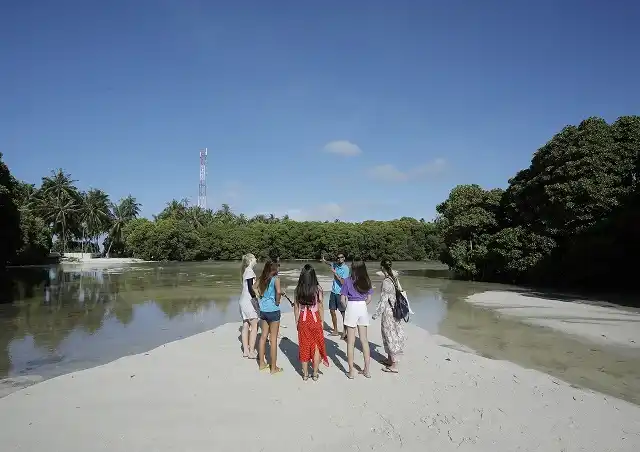 Explore the Maldivian Wildlife