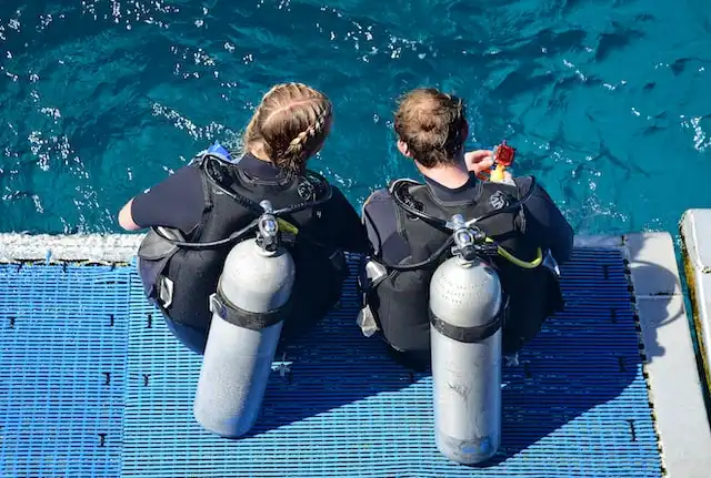 Participate in a Marine Biology Workshop