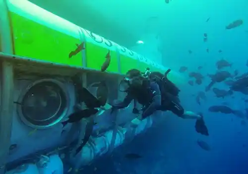 Visit the Maldives Whale Submarine