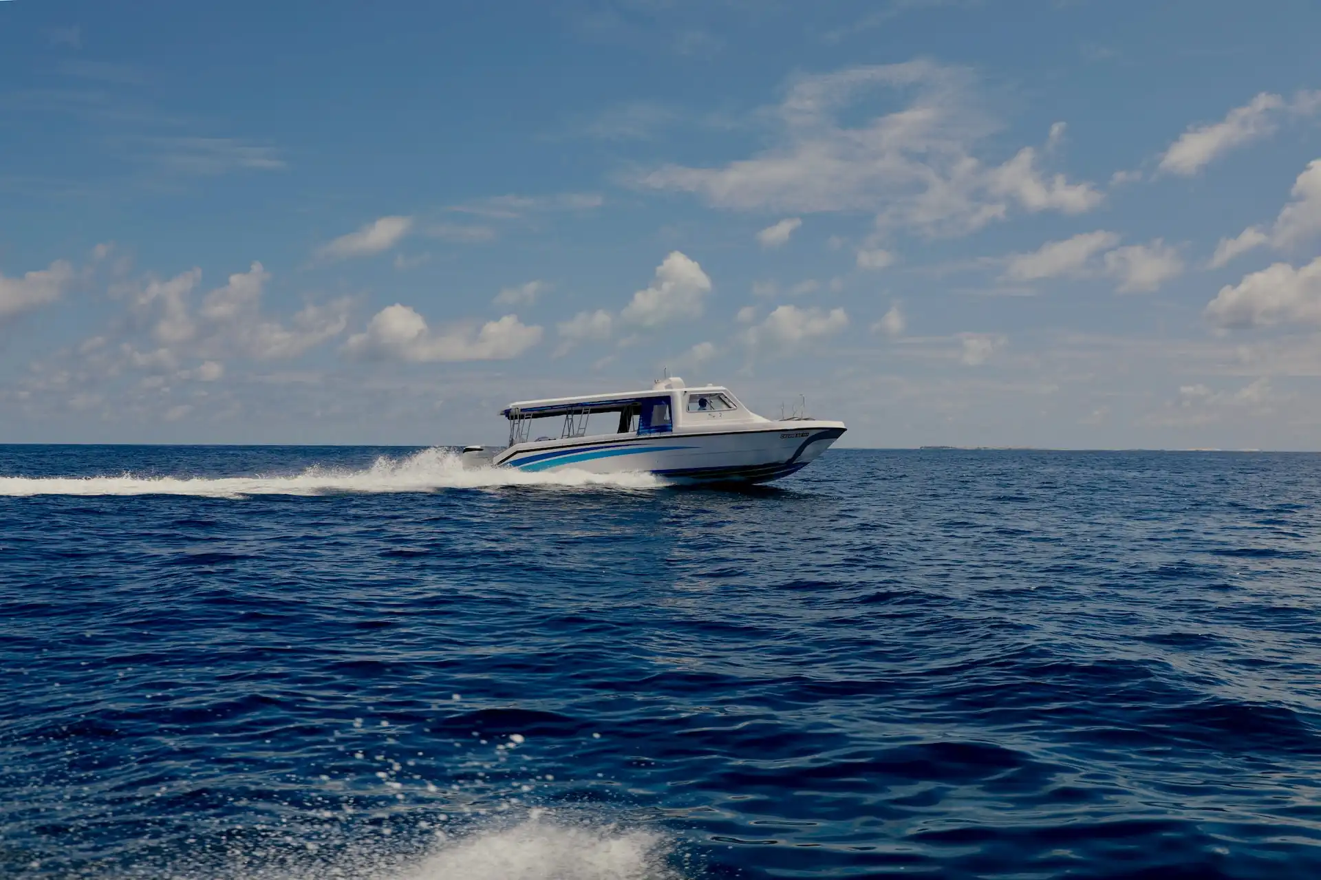 Take a Speedboat Tour