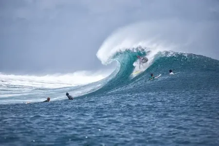 Maldives Surfing