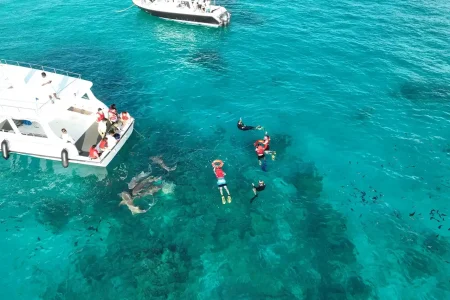 maldives snorkeling