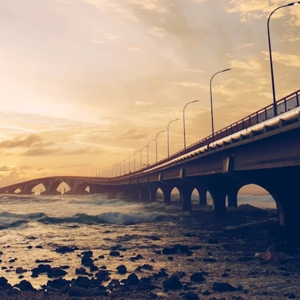 male-bridge