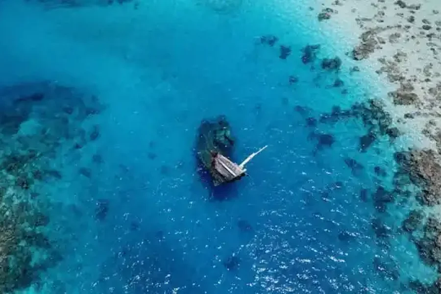 Vaavu Nurse Shark and Shipwreck Excursion for Villa Nautica Paradise